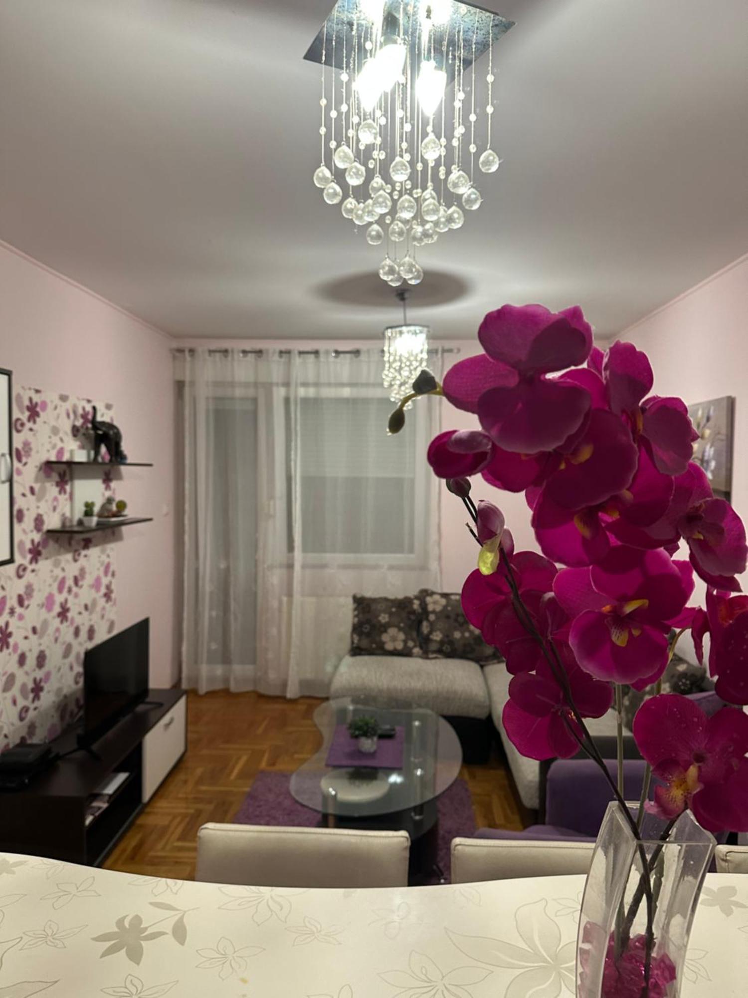 Apartman Ivana Apartment Novi Sad Luaran gambar